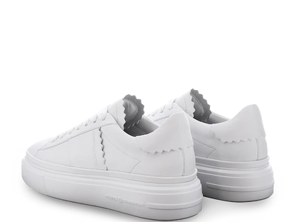 Kennel & Schmenger 51 21600 White