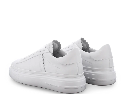 Kennel & Schmenger 51 21600 White