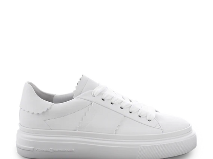 Kennel & Schmenger 51 21600 White